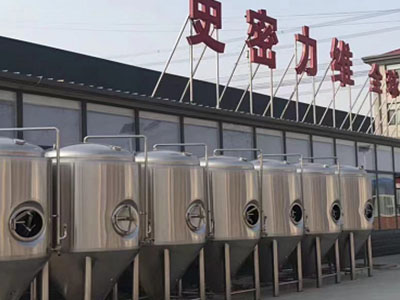 嘉定精酿啤酒设备厂—如何判断精酿啤酒设备的密封件需要更换？